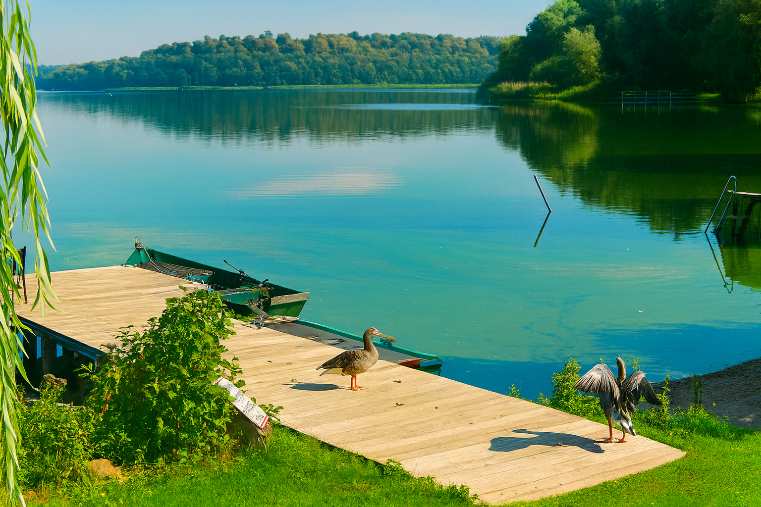 Kellersee – Bild 5